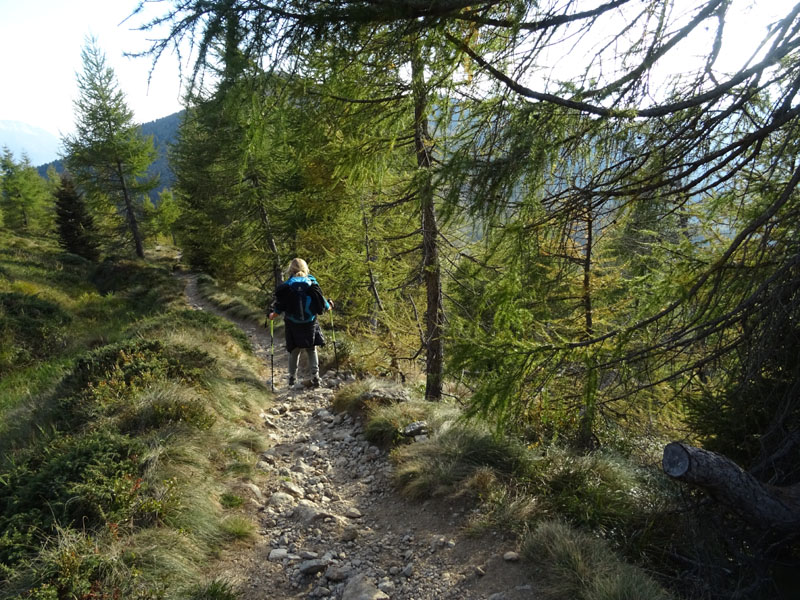 Catena dei Lagorai...da Pergine al Passo del Manghen